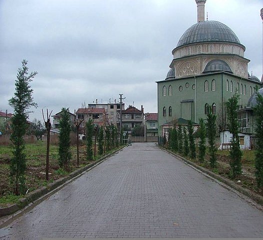  AĞAÇLANDIRMA ÇALIŞMALARI YAPILMASI