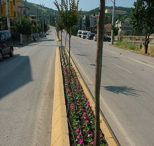  BULVAR REFÜJ AĞAÇLANDIRMASI