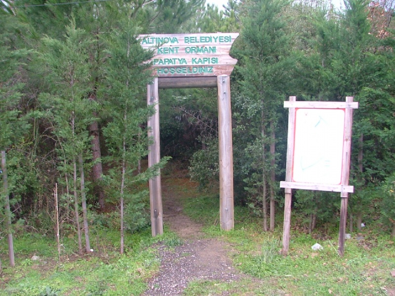 Kent Ormanı ve Piknik alanı düzenlenmesi