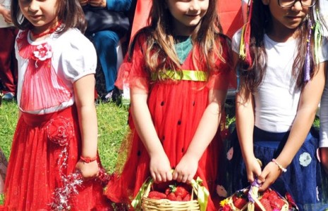 Sermayecik’te Çilek Festivali heyecanı
