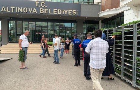 167 bin yerli tohum fidesi dağıtıldı