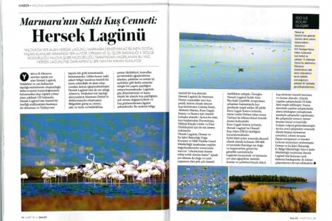 Hersek Lagünü, Sealife Dergisi’nde