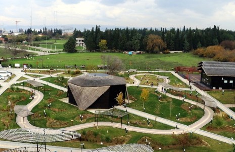 Osmangazi Köprüsü, sadece insanların değil kuşların da geçiş noktası