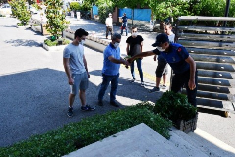 Vatandaşlara ücretsiz yerli tohum fideleri dağıtıldı