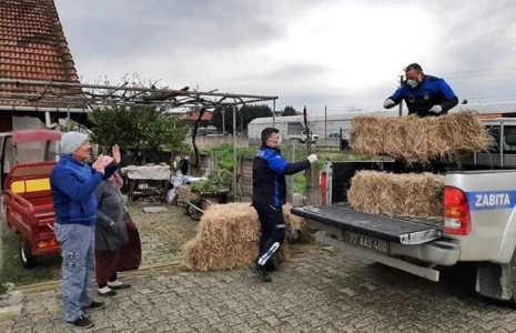 Hayvanların yemini zabıta ulaştırdı