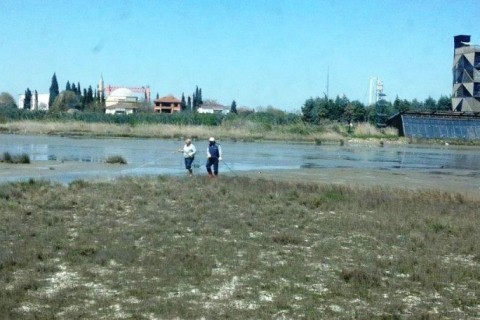 Sivrisineklere sıkı önlem