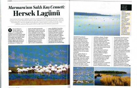 Hersek Lagünü, Sealife Dergisi’nde