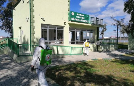 Altınova’da ilaçlama çalışması sürüyor