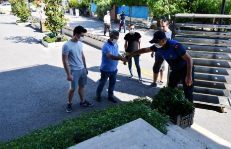 Vatandaşlara ücretsiz yerli tohum fideleri dağıtıldı