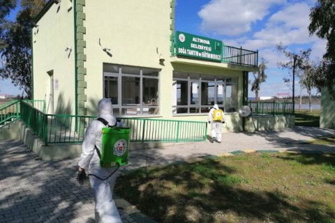 Altınova’da ilaçlama çalışması sürüyor