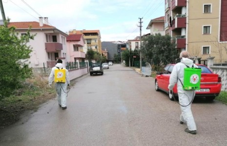 Altınova, karış karış ilaçlanıyor