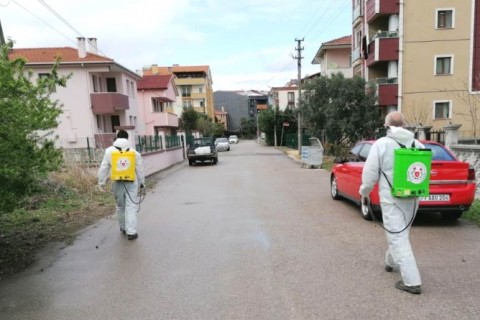 Altınova, karış karış ilaçlanıyor